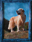 Coloured photograph on canvas in the authorīs frame, 40 x 30 cm, photo by Lubos Ton